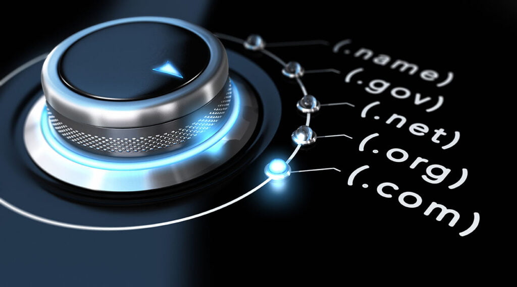 Domain name selector