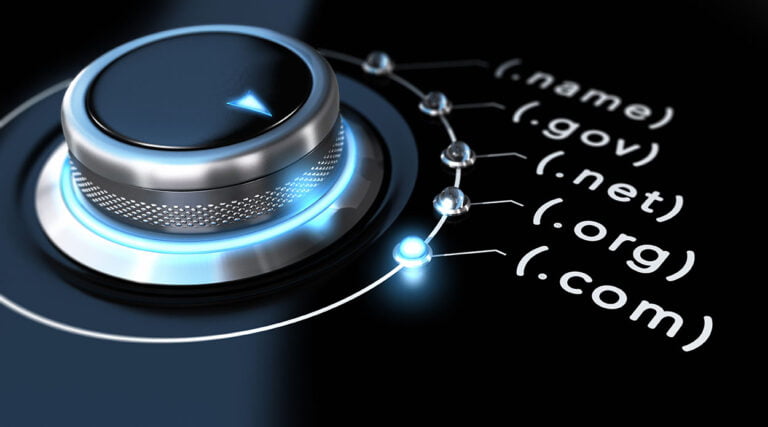 Domain name selector